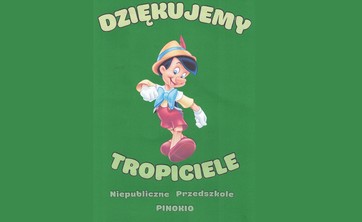Niepubiczne Przedszkole Pinokio